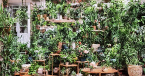 Esschert Designs plantebord – det perfekte møbel til planteglade
