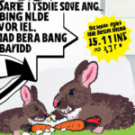 Fodring af din kanin – alt hvad du bør vide om det rigtige foder