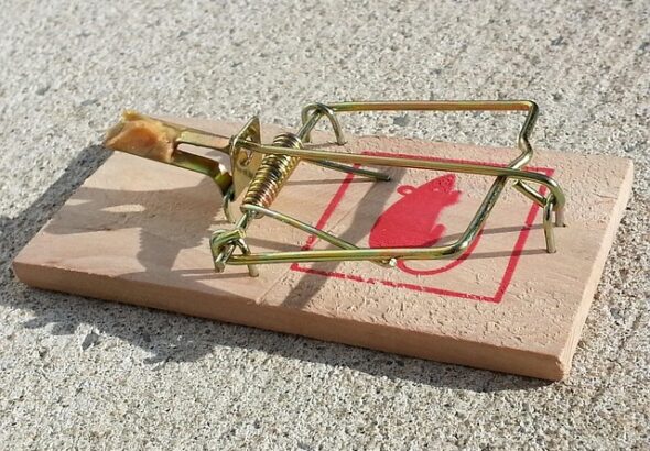 Guide: Her er de største faldgruber på black friday